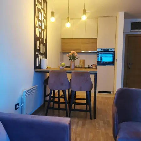 Lazar Apartament Zlatibor