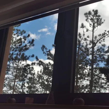 Lazar Apartament Zlatibor