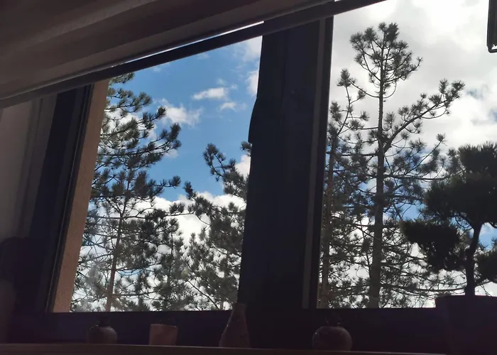 Lazar Appartamento Zlatibor